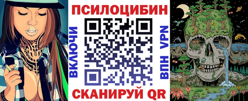 Купить закладки  Воронеж  Галлюциногенные грибы Psilocybe 