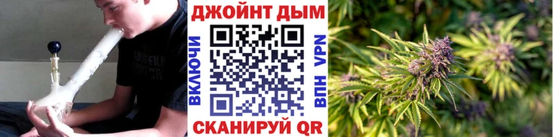 Бошки марихуана Ganja  Купить закладки  Воронеж 